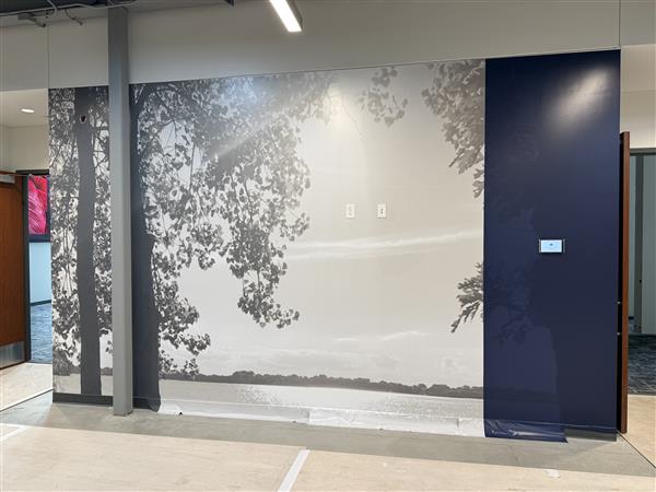 graphic wall